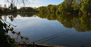 Image result for Woking & District Angling Association