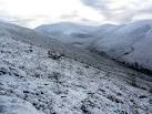 Establishing a natural treeline. The woodland is returning to the Markie - via Daymix