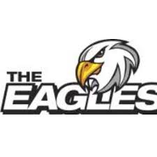 Image result for Wigan Juniors Yc Netball Club