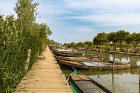 Image result for parque natural de camargue