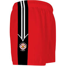 Image result for Tir Chonaill Gaels G A A Club