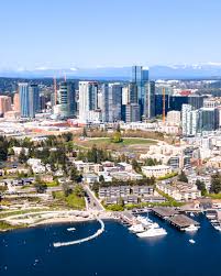 Image result for Bellevue