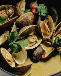 Image result for Clams