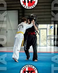 Image result for Bytomic Tae Kwon Do Wokingham