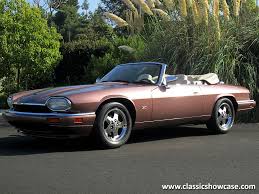 Image result for Rose Bronze 1995 Jaguar