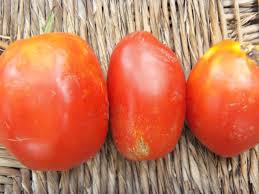 Afbeeldingsresultaat voor amish paste tomato
