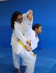 Image result for Judo Excellence