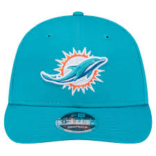 Image result for Dolphin Sub Aqua