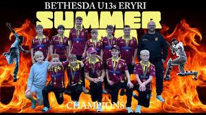 Image result for Clwb Criced A Bowlio Bethesda