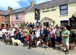 Image result for Llandyrnog Bowls Club