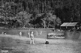 Image result for Plumtree Cricket Club