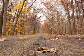 Image result for perspective photography