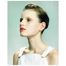 Image result for Guinevere van Seenus