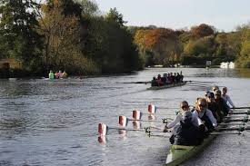 Image result for Wallingford Rowing Club
