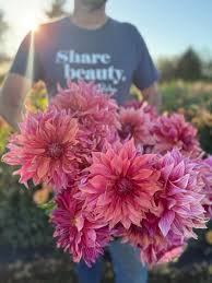 Image result for Dahlia Darkarin`