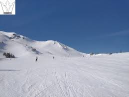 Image result for Arbroath Ski Club