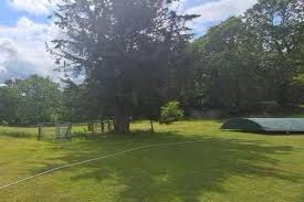 Image result for Forest Green Cricket Club