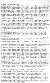 Attēlu rezultāti vaicājumam “Badhamiopsis scripta spores”