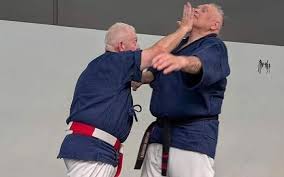 Image result for Fighting Arts Organisation of Great Britain