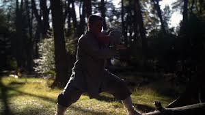 Image result for Jade Dragon School of Kung Fu and Qigong (Reading)