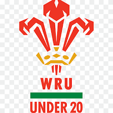 Image result for Rugby Welsh R F C