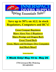 Image result for innerspace divers