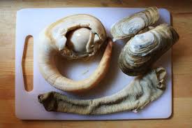 Image result for geoduck