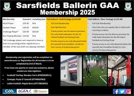 Image result for Ballerin Gaelic Athletic Club