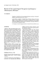 Attēlu rezultāti vaicājumam “Psallus sp. imago”