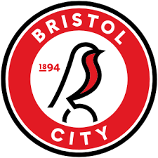 Image result for Bristol Handball Club