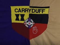 Image result for Carryduff Gaelic Athletic Club