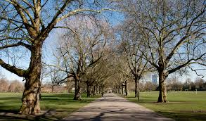 Image result for Battersea Park