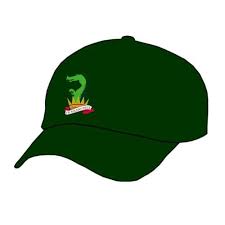 Image result for Ledsham Cricket Club