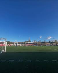 Image result for Dorking Football Club Limited