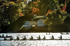Image result for William Shrewsbury School Table Tennis Club