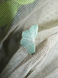 Attēlu rezultāti vaicājumam “Jodis putata”