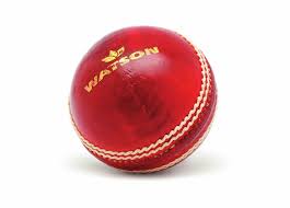Image result for Newenden Cricket Club