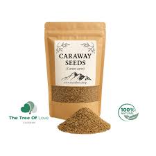 Image result for Carum carvi