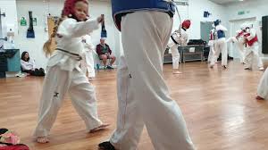 Image result for New Milton Taekwondo Club