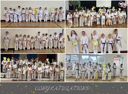 Image result for Tsunami Karate Club