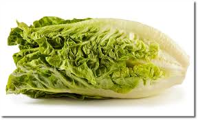 Image result for Römischer Salat