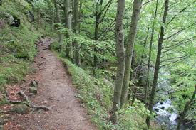 Image result for cascate del dardagna