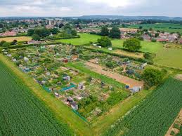 Image result for South Petherton Tennis Club