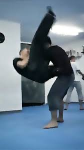 Image result for M-S-N Ninjutsu (Bujinkan) Club