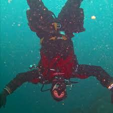 Image result for London Hellfins