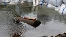 German city evacuated over WWII-era bomb - CBS News