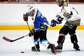 Image result for Walsall Roller Hockey Club