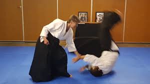 Image result for Bakewell Aikido Club