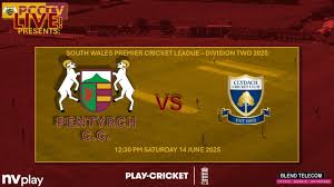 Image result for Pentyrch Cricket Club