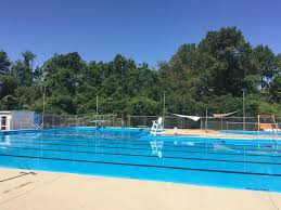 Image result for Tynedale Swimming Club